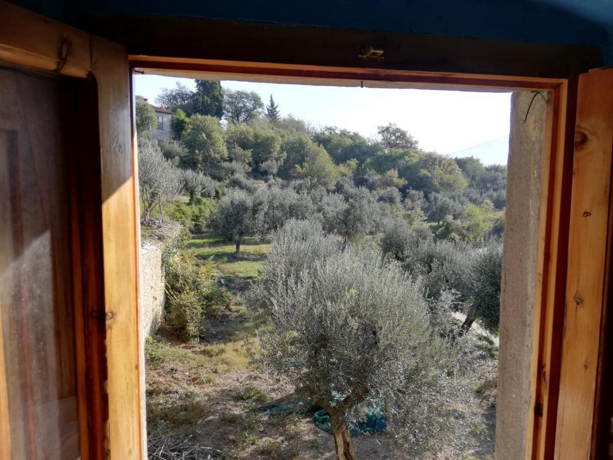 Agriturismo Casamatta Azienda Agricola Calenzano Bagian luar foto