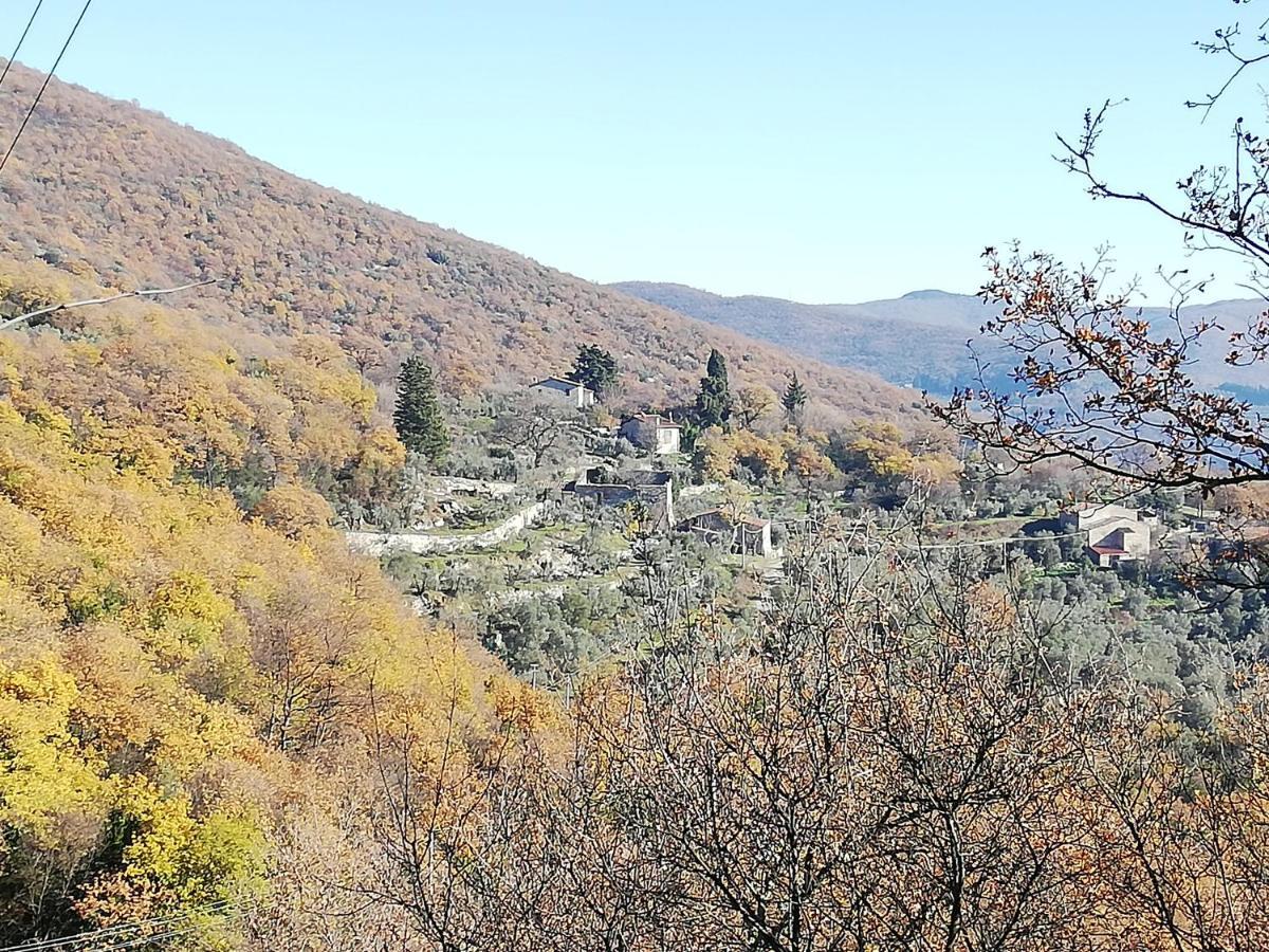 Agriturismo Casamatta Azienda Agricola Calenzano Bagian luar foto