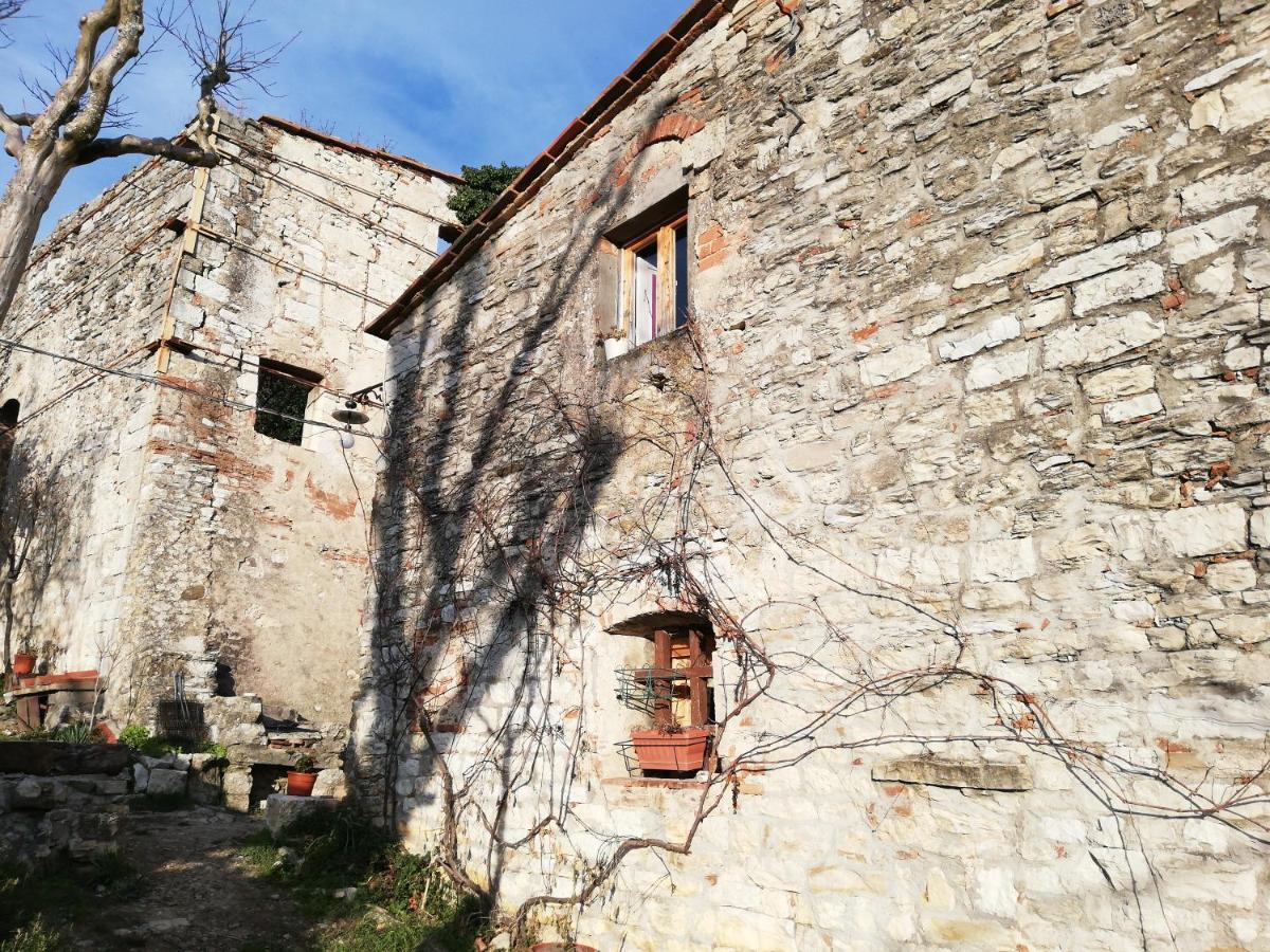 Agriturismo Casamatta Azienda Agricola Calenzano Bagian luar foto