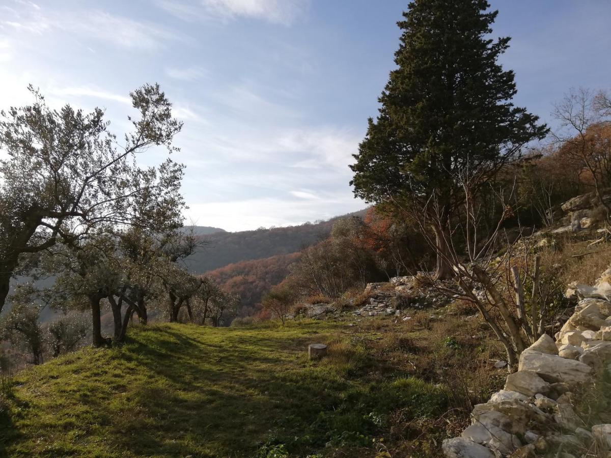 Agriturismo Casamatta Azienda Agricola Calenzano Bagian luar foto