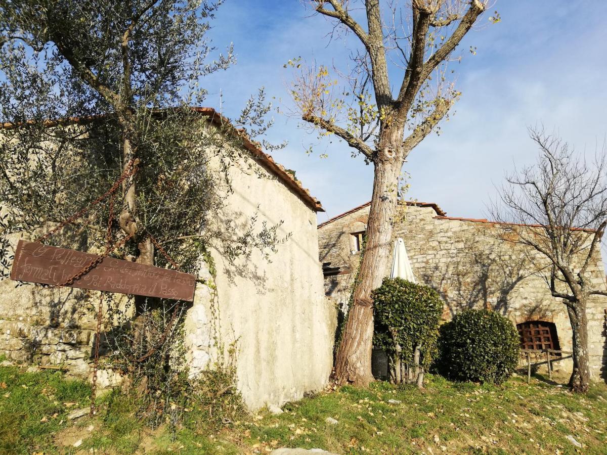 Agriturismo Casamatta Azienda Agricola Calenzano Bagian luar foto