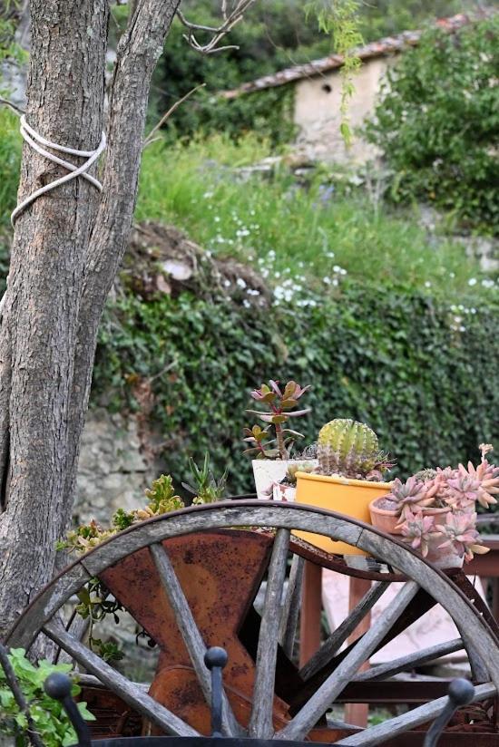 Agriturismo Casamatta Azienda Agricola Calenzano Bagian luar foto