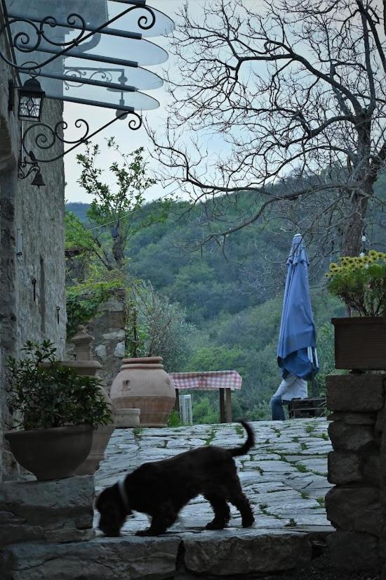 Agriturismo Casamatta Azienda Agricola Calenzano Bagian luar foto